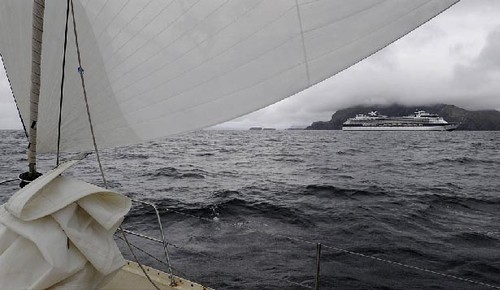It is that time of year - they catch sight of a cruise ship © David Thoreson http://bluewaterstudios.com/